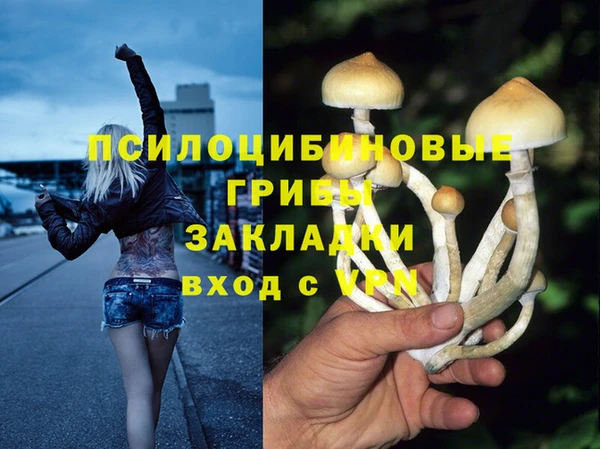 тгк Зеленодольск