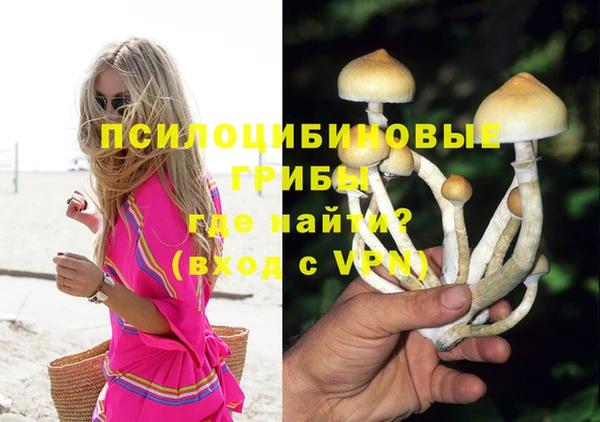 дмт Каменск-Шахтинский