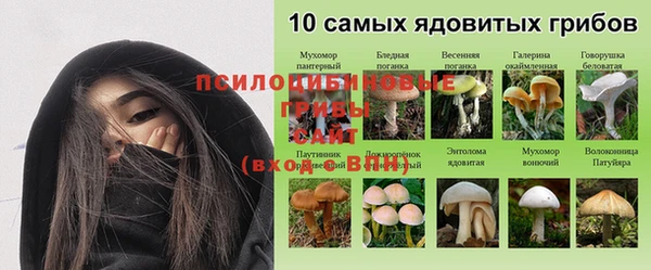 тгк Зеленодольск