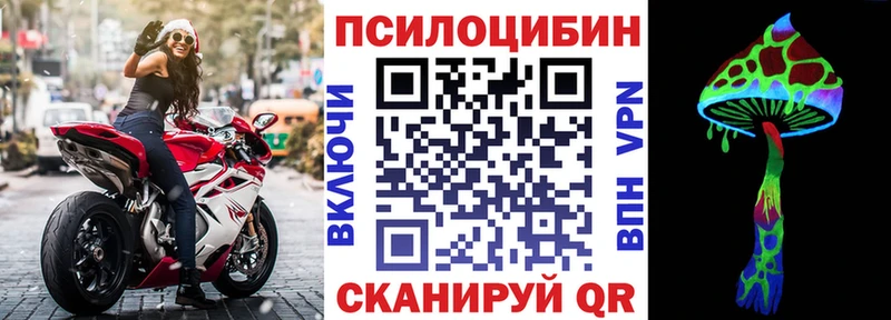 Псилоцибиновые грибы прущие грибы  МЕГА вход  Бердск  наркошоп 